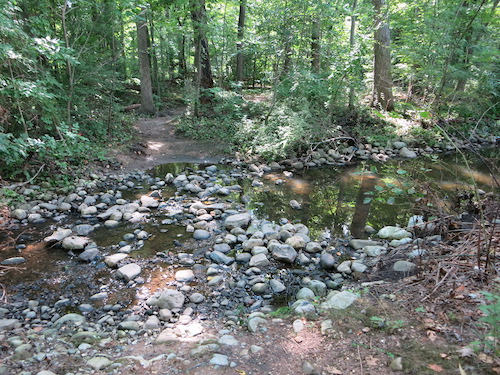 wolfes pond park staten island bluebelt nyc