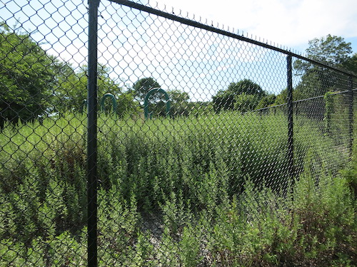 wolfes pond park staten island nyc