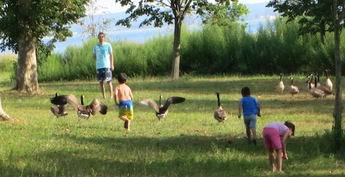 wolfes pond park staten island nyc