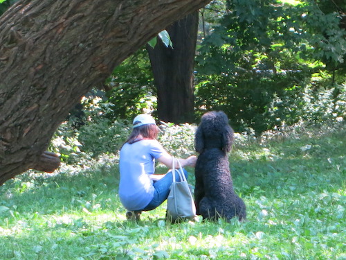 ewen park kingsbridge riverdale bronx nyc