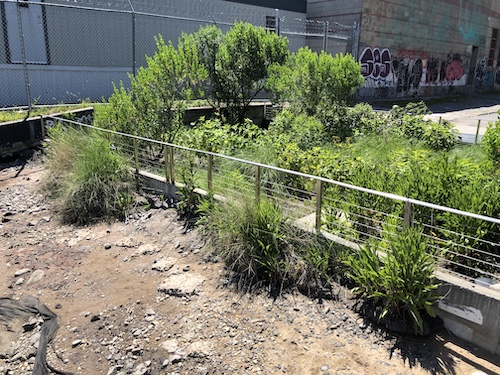 gowanus waterfront park gowanus canal sponge park brooklyn new york city parks