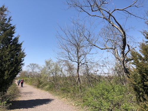 jamaica bay wildlife refuge gateway national recreation area queens new york city parks