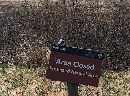 jamaica bay wildlife refuge gateway national recreation area queens new york city parks