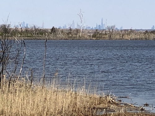 jamaica bay wildlife refuge gateway national recreation area queens new york city parks