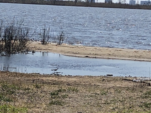 jamaica bay wildlife refuge gateway national recreation area queens new york city parks