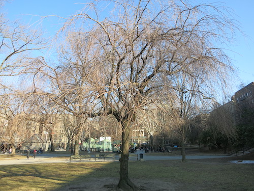 j hood wright park washington heights manhattan new york city parks