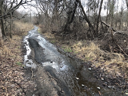 latourette park staten island greenbelt nyc