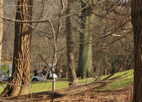 latourette park staten island greenbelt nyc