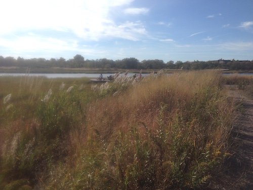 marine park salt marsh nature trail brooklyn nyc