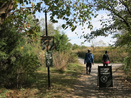 marine park salt marsh nature trail brooklyn nyc