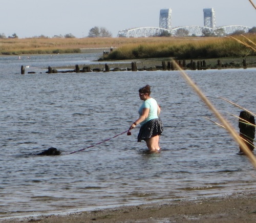 marine park salt marsh nature trail brooklyn nyc