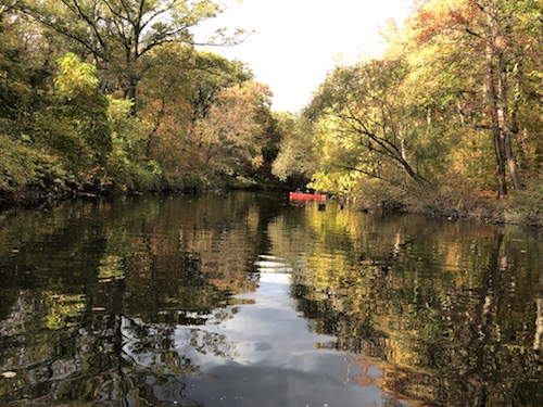 mitsubishi riverwalk bronx river canoeing new york city parks