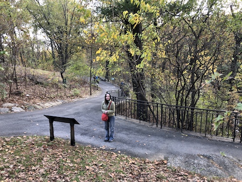 mitsubishi riverwalk bronx river new york city parks