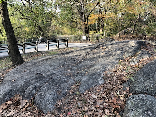 mitsubishi riverwalk bronx river new york city parks