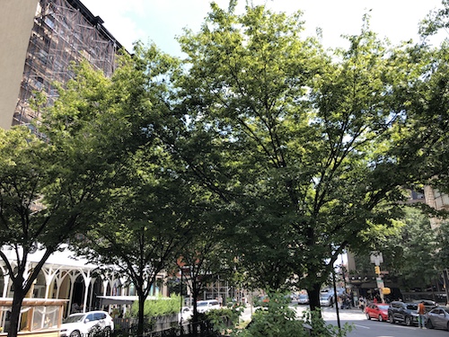 nameless triangle park soho manhattan new york city parks