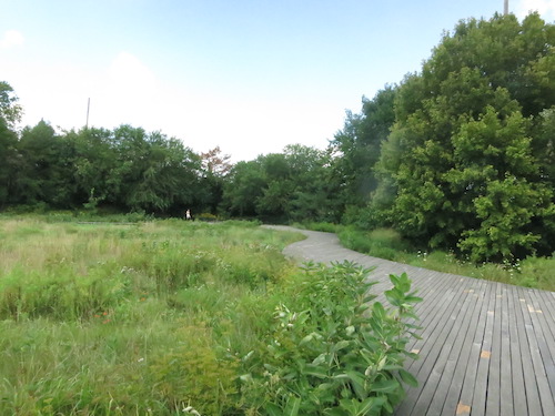 naval cemetery landscape brooklyn navy yard new york city parks