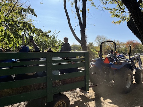 Hayride at Queens County Farm Museum, Queens, NYC