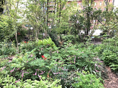 sara d roosevelt park m'finda kalunga community garden manhattan nyc new york city