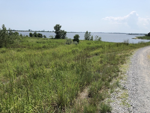 shirley chisholm state park brooklyn new york city parks