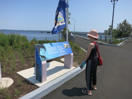 shirley chisholm state park brooklyn new york city parks