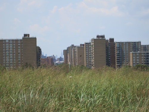 starrett city shirley chisholm state park brooklyn new york city parks