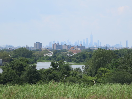 shirley chisholm state park brooklyn new york city parks