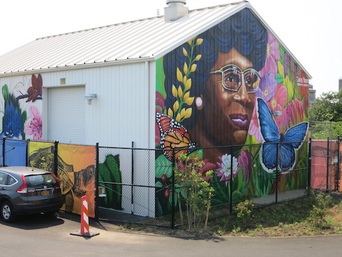 shirley chisholm state park brooklyn new york city parks